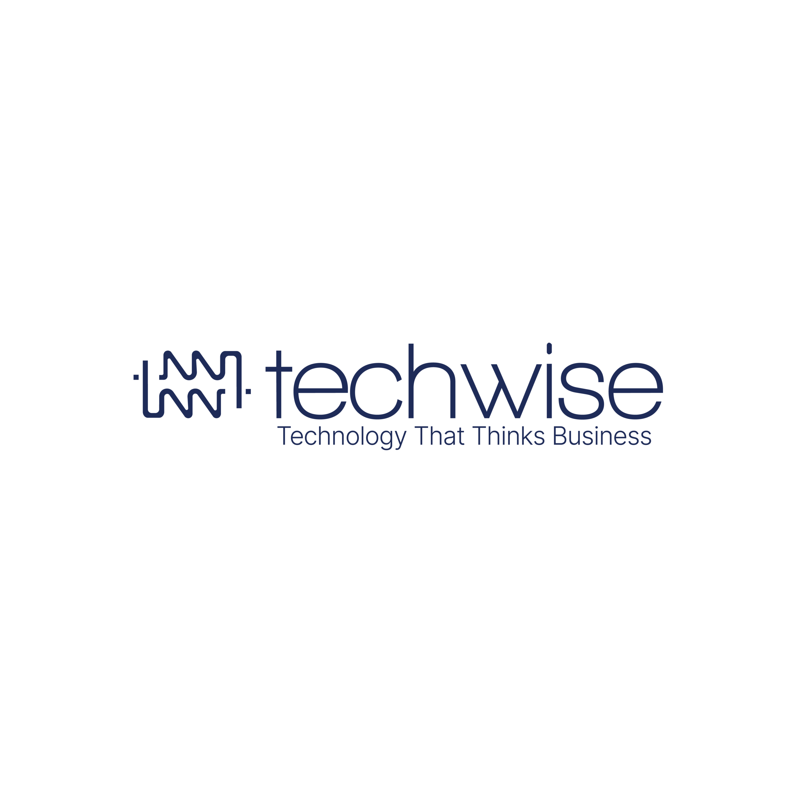 TechWise Global Logo