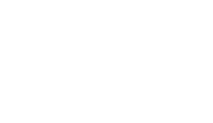 TechWise Global