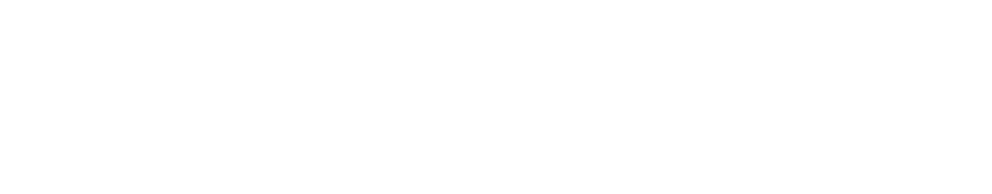TechWise Global
